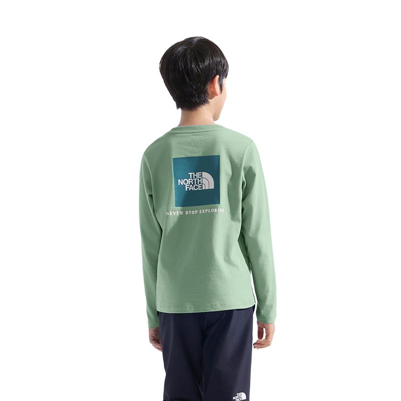 Детская футболка THE NORTH FACE, зеленый
Детская футболка THE NORTH FACE, зеленый