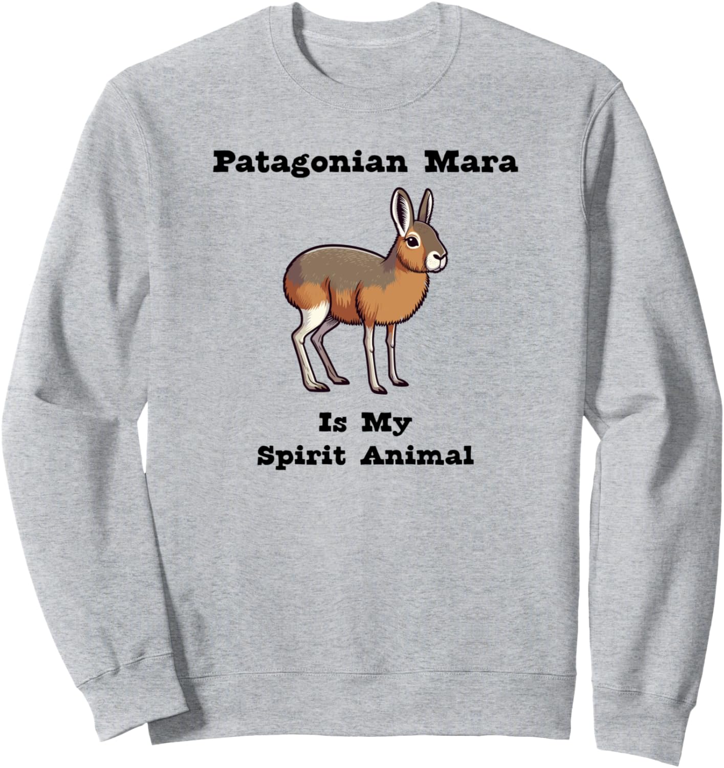 Патагонская толстовка с изображением животного-символа Мала Patagonian Mara, серый
Патагонская толстовка с изображением животного-символа Мала Patagonian Mara, серый