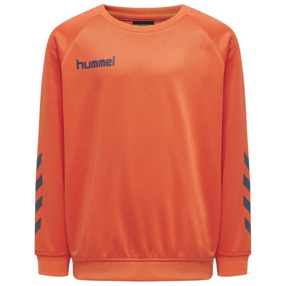 Толстовка Hummel Promo Poly, оранжевый
Толстовка Hummel Promo Poly, оранжевый