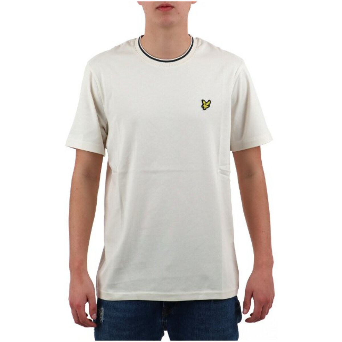Футболка мужская Lyle & Scott с окантовкой горловины, бежевый
Футболка мужская Lyle & Scott с окантовкой горловины, бежевый