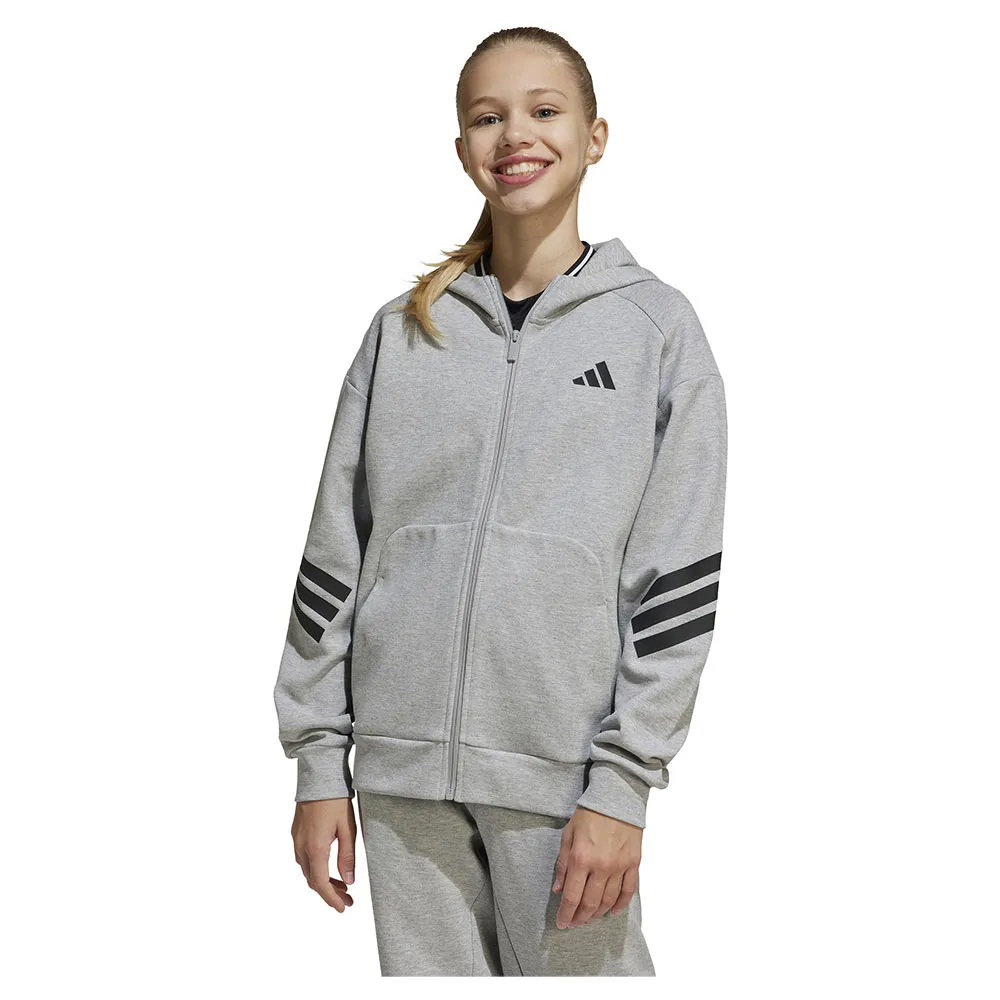 Толстовка adidas Future Icons 3 Stripes full zip, серый
Толстовка adidas Future Icons 3 Stripes full zip, серый