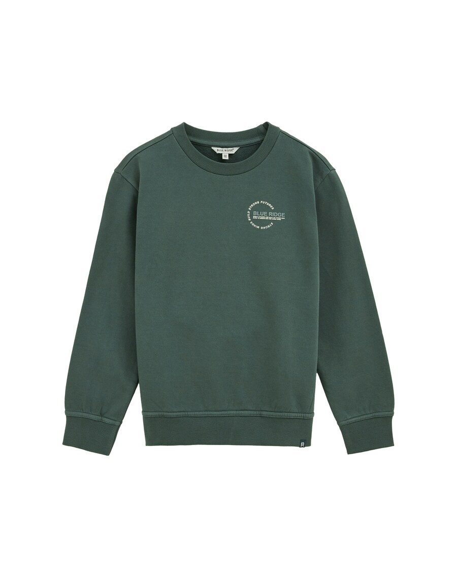 Толстовка WE Fashion, Dark green
Толстовка WE Fashion, Dark green