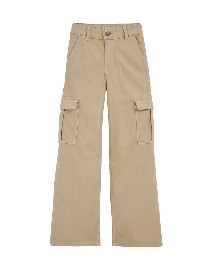 Брюки WE Fashion Regular Pants, бежевый
Брюки WE Fashion Regular Pants, бежевый