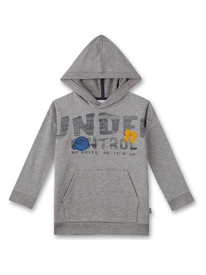 Толстовка с капюшоном Sanetta Kidswear, серый
Толстовка с капюшоном Sanetta Kidswear, серый