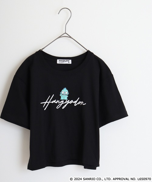 Футболка широкая короткая с принтом Sanrio, черная
Футболка широкая короткая с принтом Sanrio, черная