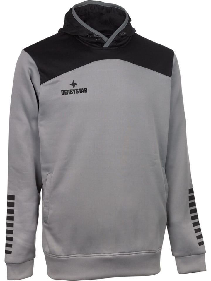 Толстовка Ultimo V23 серого цвета Derbystar
Толстовка Ultimo V23 серого цвета Derbystar