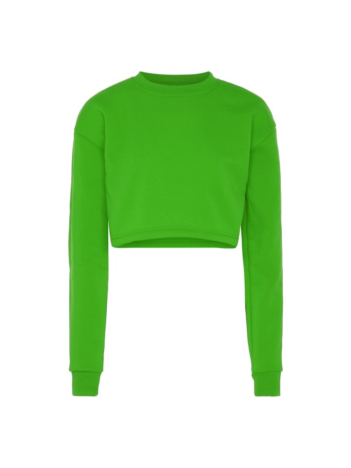 Толстовка Libbi, цвет saftiges grün
Толстовка Libbi, цвет saftiges grün