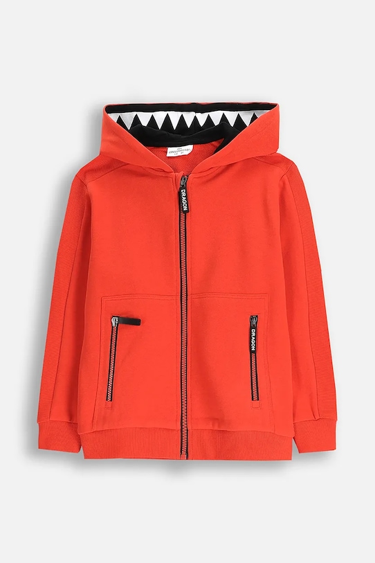 Детская толстовка Coccodrillo, красный
Детская толстовка Coccodrillo, красный