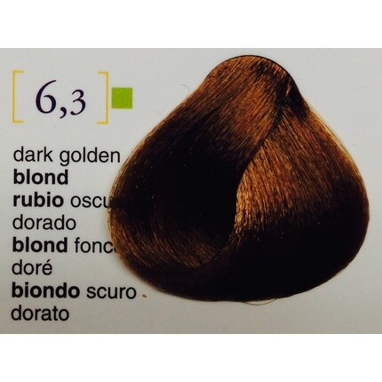Salermvision 6.3 Темно-золотистый блондин
Salermvision 6.3 Темно-золотистый блондин