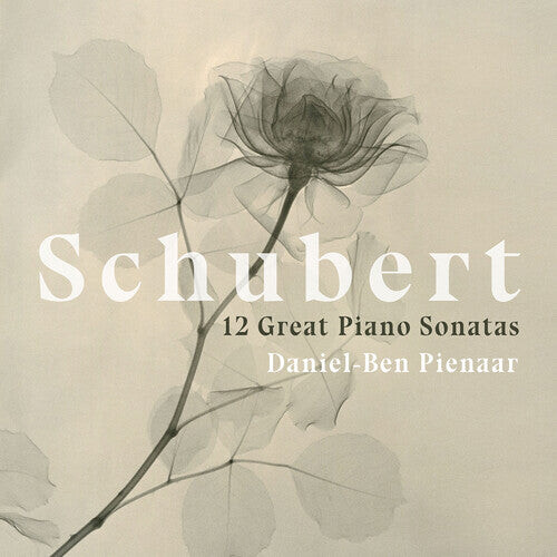 CD диск Schubert / Pienaar: 12 Great Piano Sonatas
CD диск Schubert / Pienaar: 12 Great Piano Sonatas