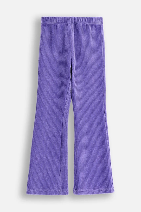 Детские хлопковые леггинсы Coccodrillo, фиолетовый
Детские хлопковые леггинсы Coccodrillo, фиолетовый