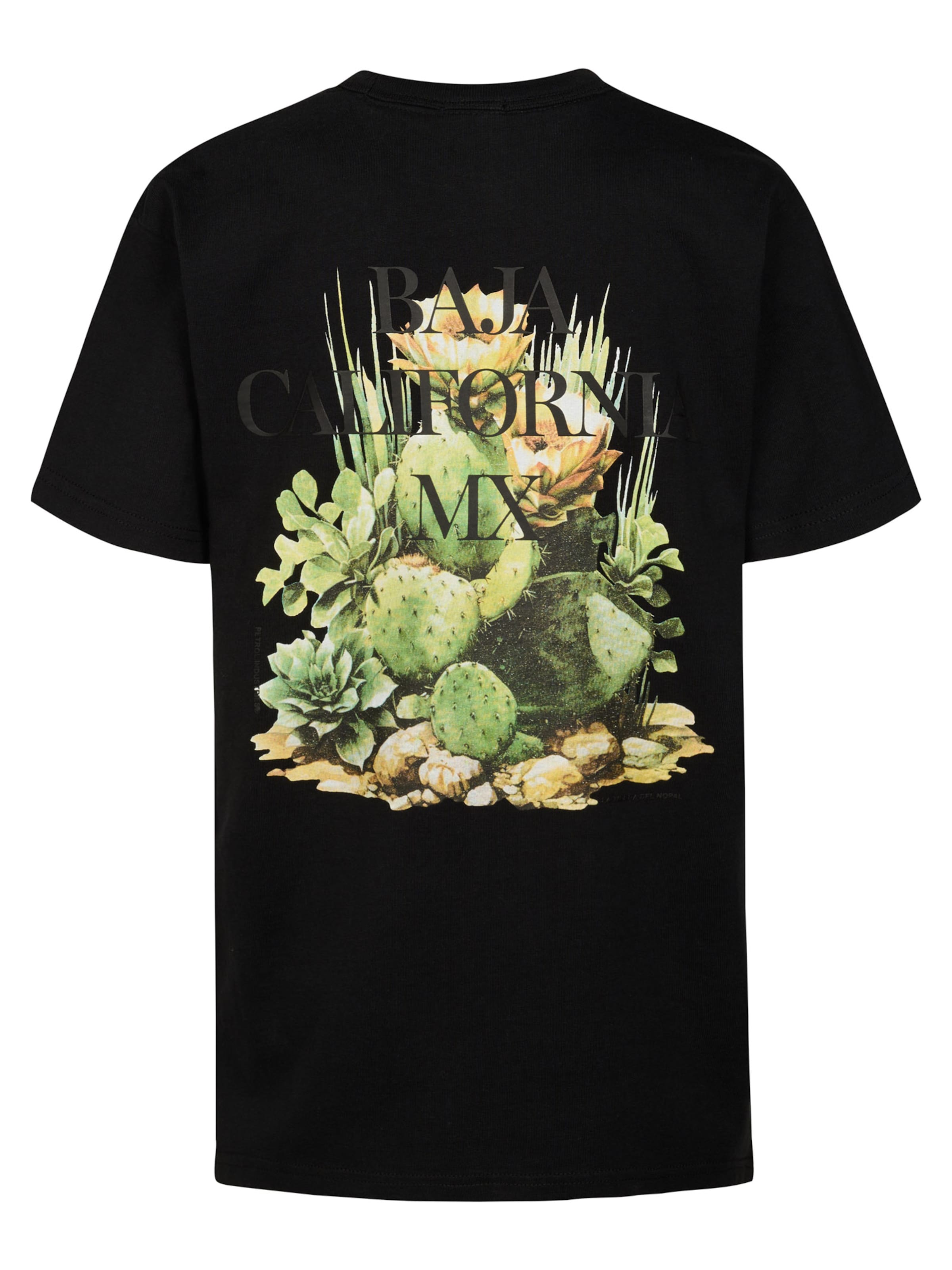 Petrol Industries Футболка 'Corrido' в черном цвете
Petrol Industries Футболка 'Corrido' в черном цвете