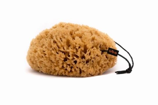 Натуральная губка СОТОВАЯ, размер L UBO
Натуральная губка СОТОВАЯ, размер L UBO