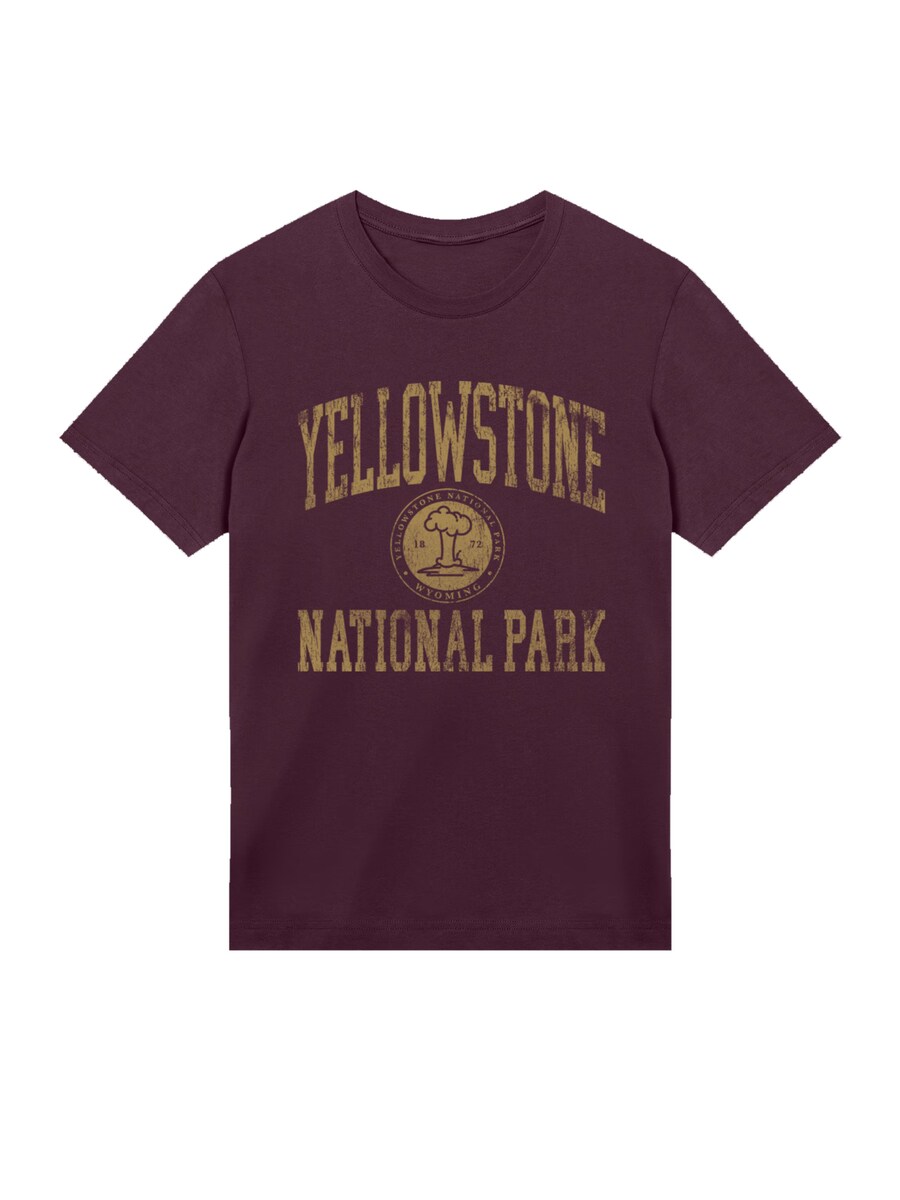 Рубашка F4NT4STIC US National Parks Yellowstone Wyoming, баклажановый
Рубашка F4NT4STIC US National Parks Yellowstone Wyoming, баклажановый