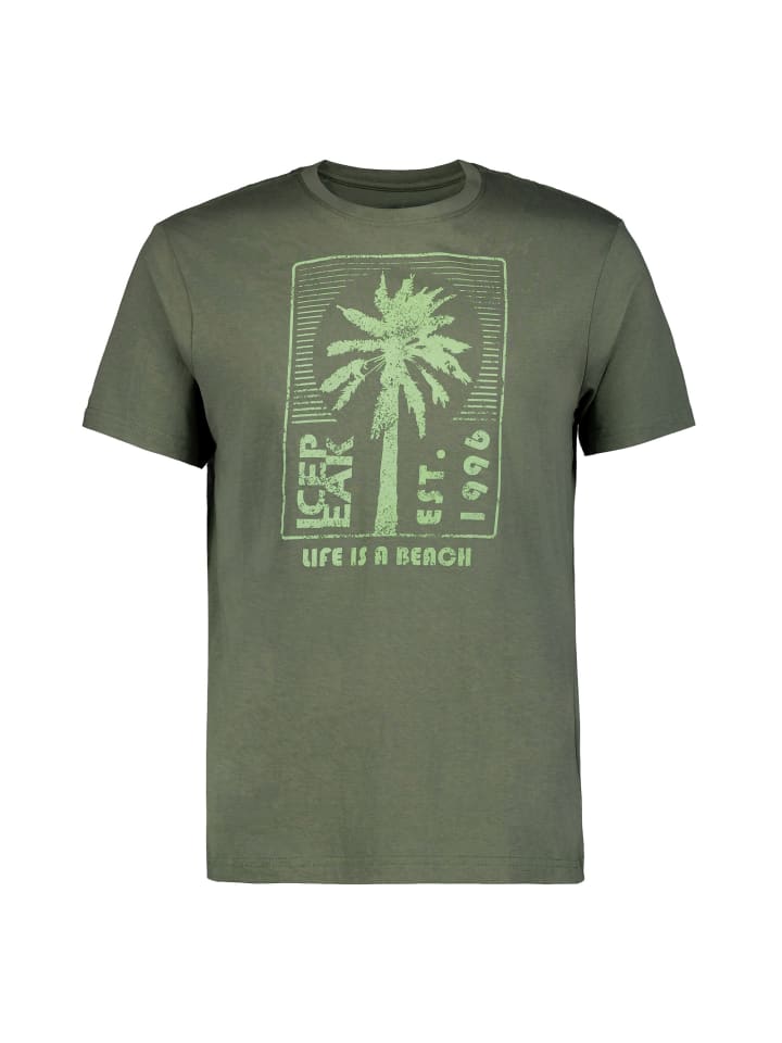 Футболка Mankato оливкового цвета Icepeak, Зеленый, Футболка Mankato оливкового цвета Icepeak
Футболка Mankato оливкового цвета Icepeak, Зеленый, Футболка Mankato оливкового цвета Icepeak