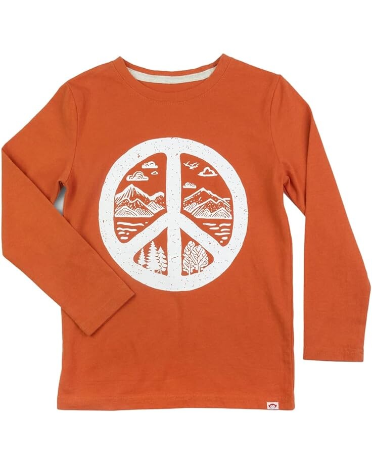 Лонгслив Appaman Kids Graphic Long Sleeve Tee-Peace On Earth, цвет Pumpkin 
Лонгслив Appaman Kids Graphic Long Sleeve Tee-Peace On Earth, цвет Pumpkin