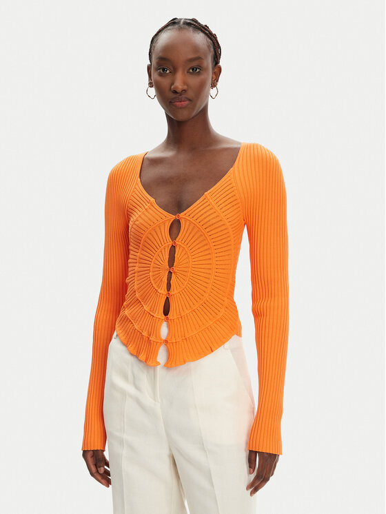 Облегающий кардиган Vergina 104627 A2E6 Pinko, оранжевый
Облегающий кардиган Vergina 104627 A2E6 Pinko, оранжевый