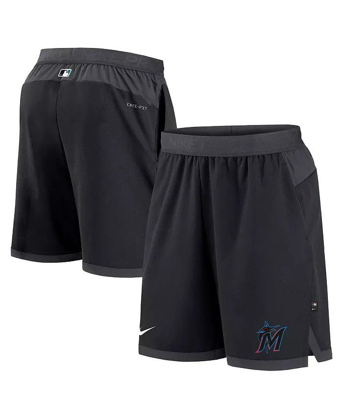 Мужские шорты для активного отдыха Black Miami Marlins Authentic Collection Flex Vent Performance Nike
Мужские шорты для активного отдыха Black Miami Marlins Authentic Collection Flex Vent Performance Nike