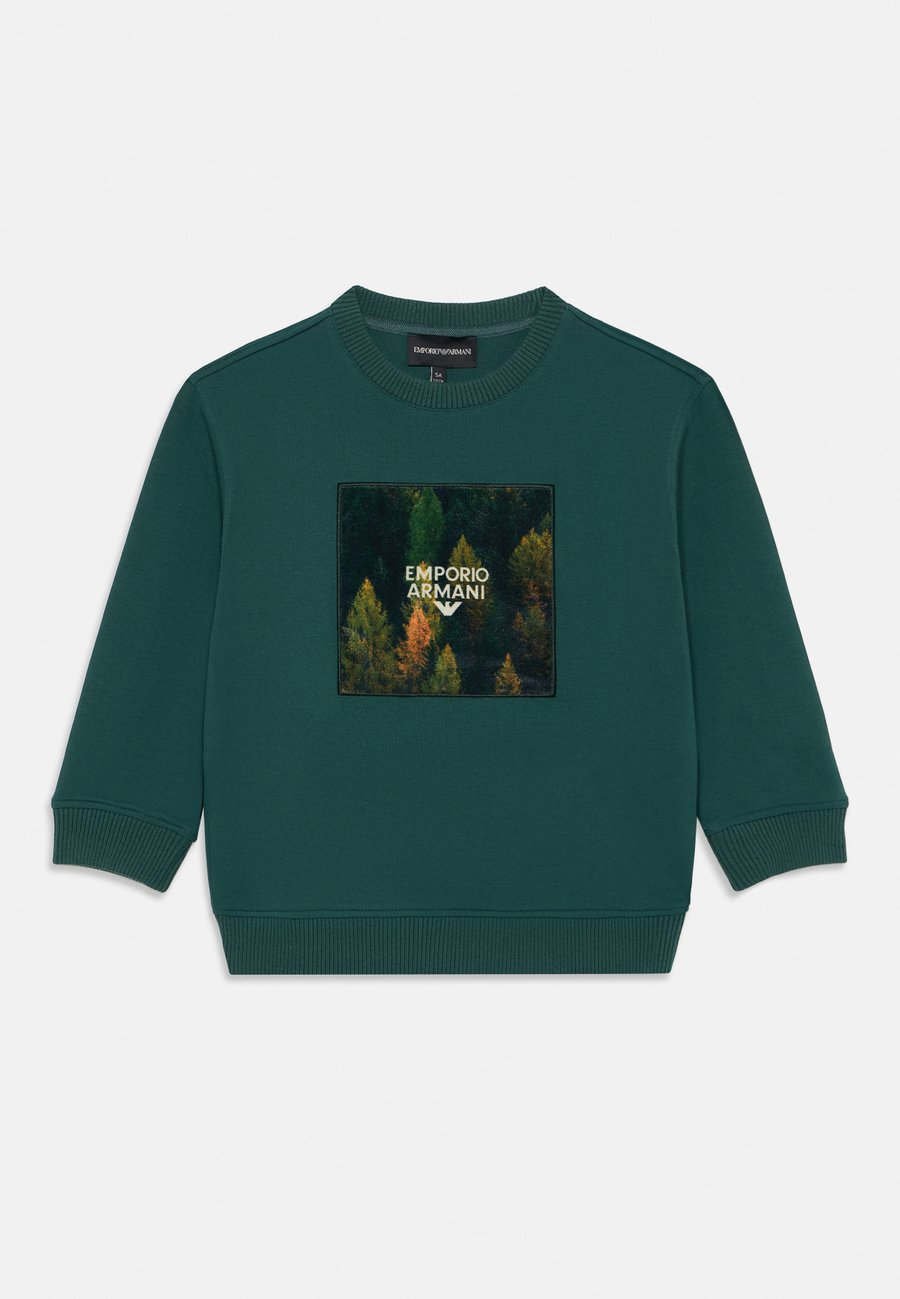 Толстовка Emporio Armani Sweatshirt, Green
Толстовка Emporio Armani Sweatshirt, Green