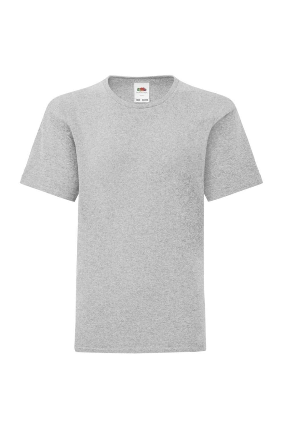 Легендарная футболка Fruit of the Loom, серый
Легендарная футболка Fruit of the Loom, серый