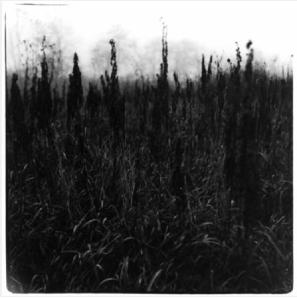 CD диск Bennet, David / Bromander, Vilhelm: Within Reach Of Eventuality
CD диск Bennet, David / Bromander, Vilhelm: Within Reach Of Eventuality