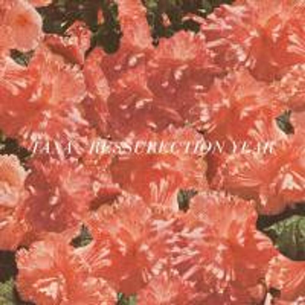 Виниловая пластинка LP Resurrection Year (7") - Taxa
Виниловая пластинка LP Resurrection Year (7") - Taxa