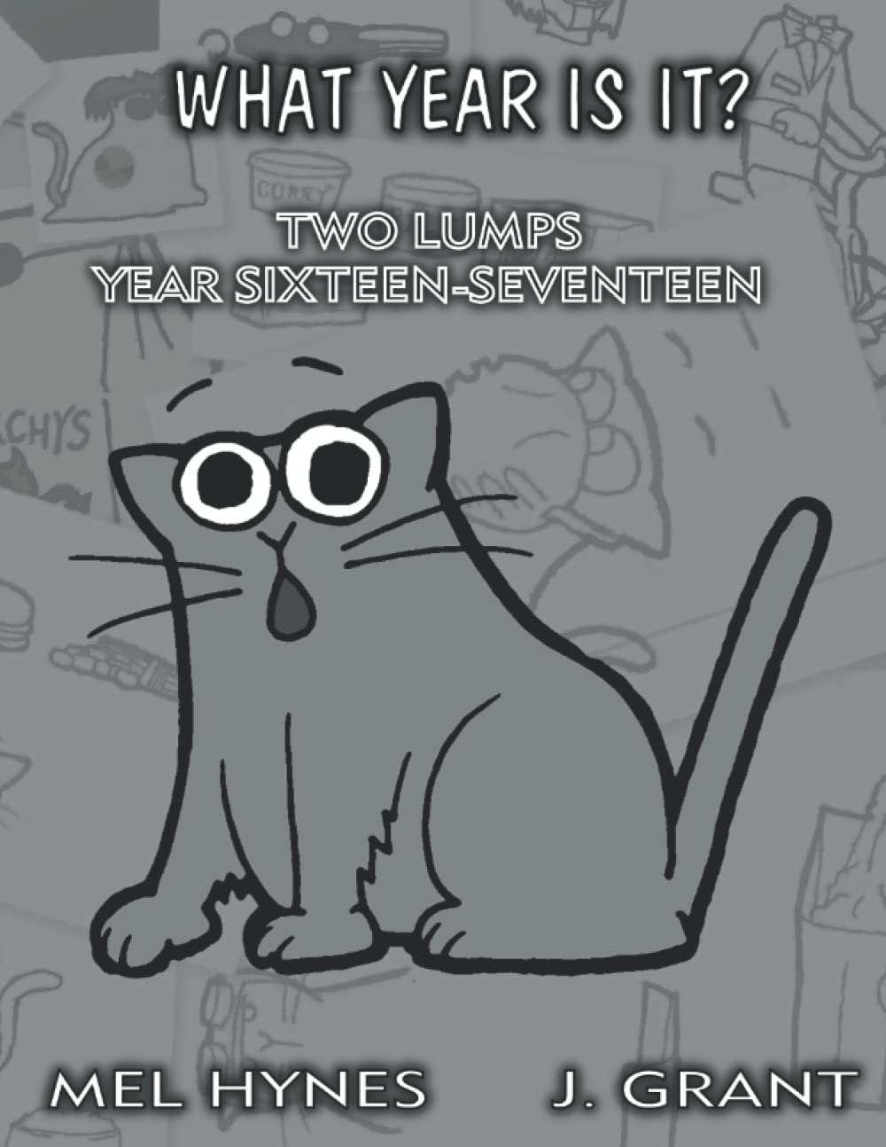 What Year Is It: Two Lumps, Year 16-17 (Independently published)
What Year Is It: Two Lumps, Year 16-17 (Independently published)