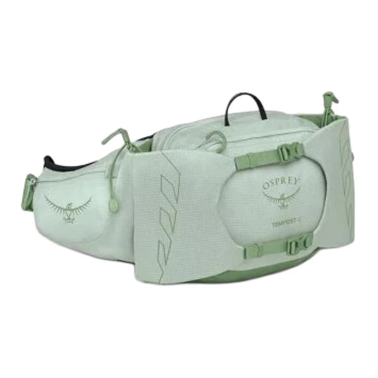 OSPREY Нейлоновая поясная сумка женская мятно-зеленая, Mint Green
OSPREY Нейлоновая поясная сумка женская мятно-зеленая, Mint Green
