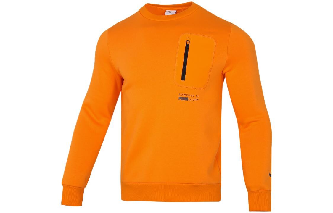 Толстовка мужская оранжевая Puma, оранжевый
Толстовка мужская оранжевая Puma, оранжевый