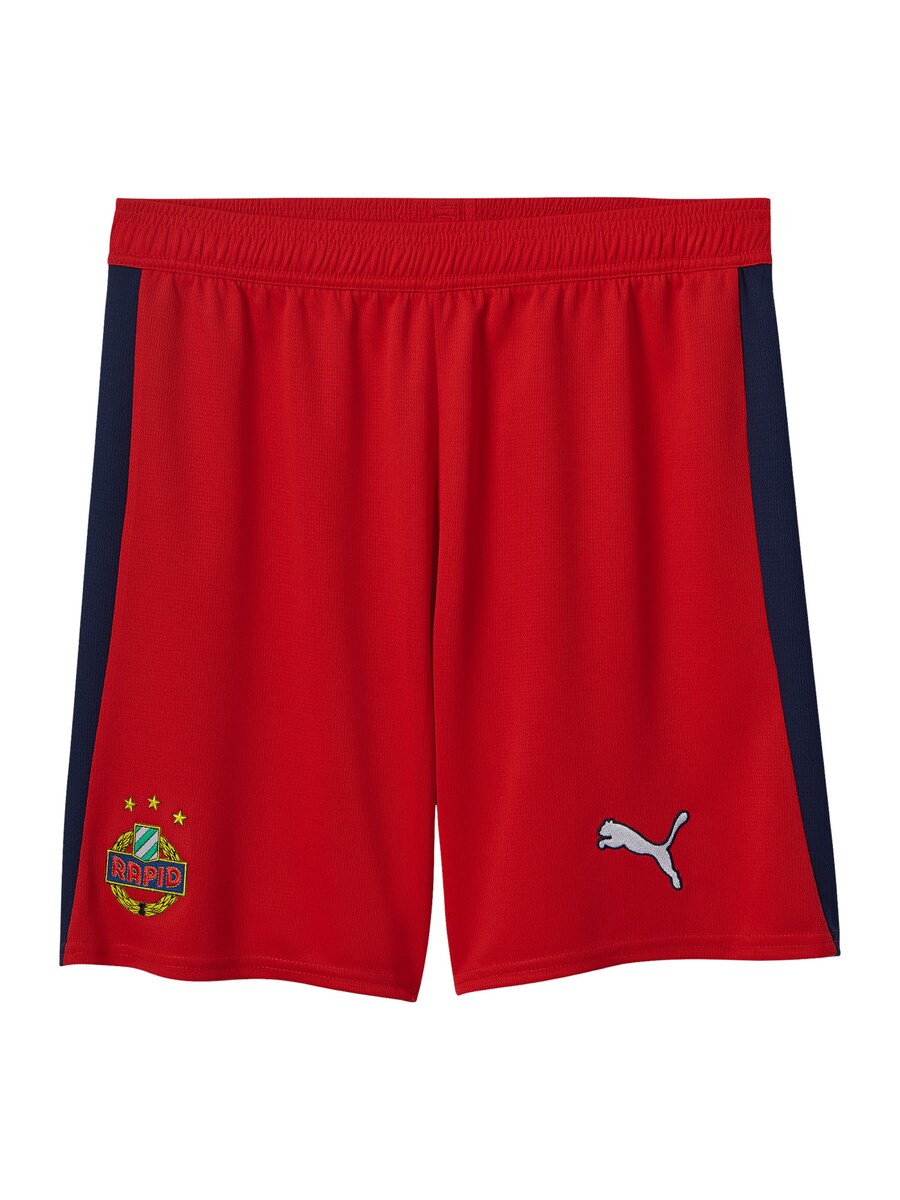 Обычные спортивные штаны PUMA SK Rapid Wien 2025/2026, красный
Обычные спортивные штаны PUMA SK Rapid Wien 2025/2026, красный