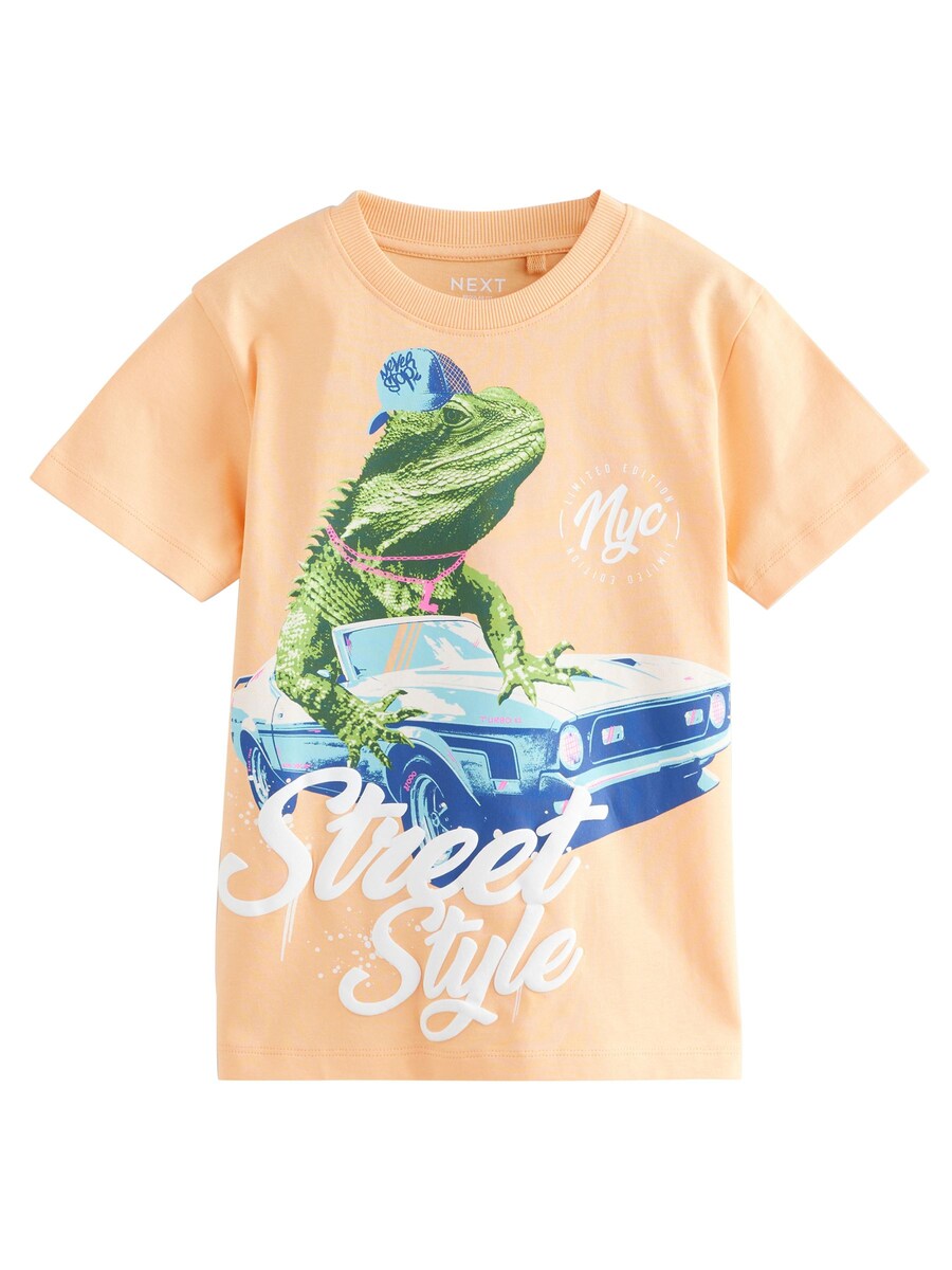 Рубашка Next, цвет Pastel orange
Рубашка Next, цвет Pastel orange