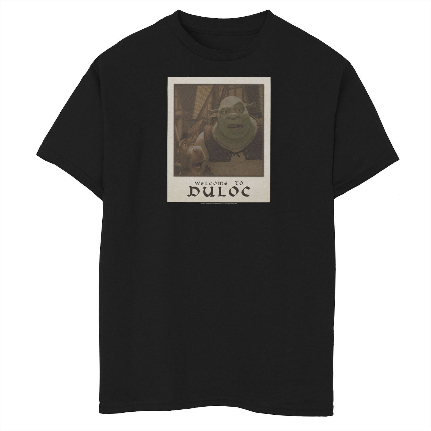 Футболка с портретом Duloc для мальчиков 8–20 лет «Шрек и Осел» Добро пожаловать в Duloc DreamWorks