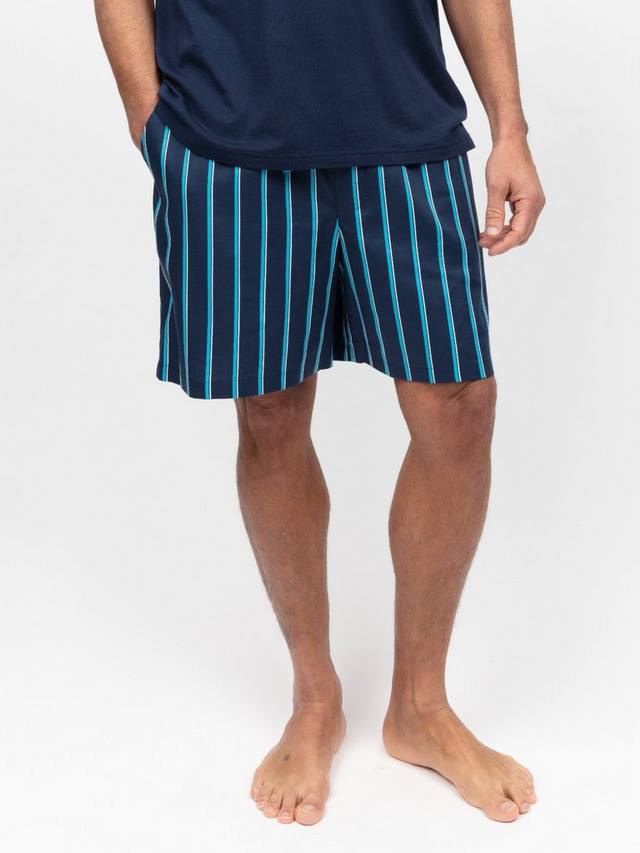Хлопковые пижамные шорты с принтом в полоску из смеси модала Cyberjammies, Navy
Хлопковые пижамные шорты с принтом в полоску из смеси модала Cyberjammies, Navy