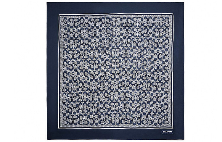Женский шелковый шарф COACH, Navy
Женский шелковый шарф COACH, Navy