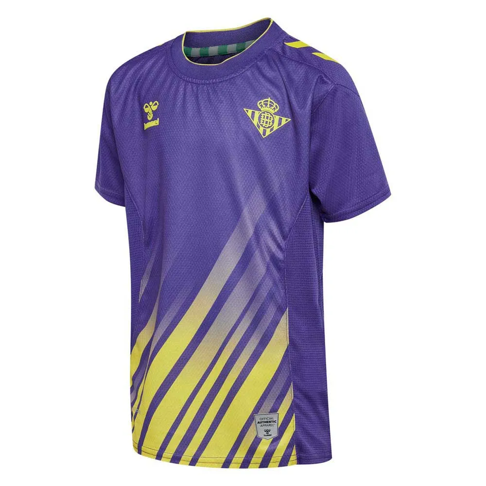 Футболка с коротким рукавом Hummel Real Betis 22/23 goalkeeper Third junior, фиолетовый
Футболка с коротким рукавом Hummel Real Betis 22/23 goalkeeper Third junior, фиолетовый