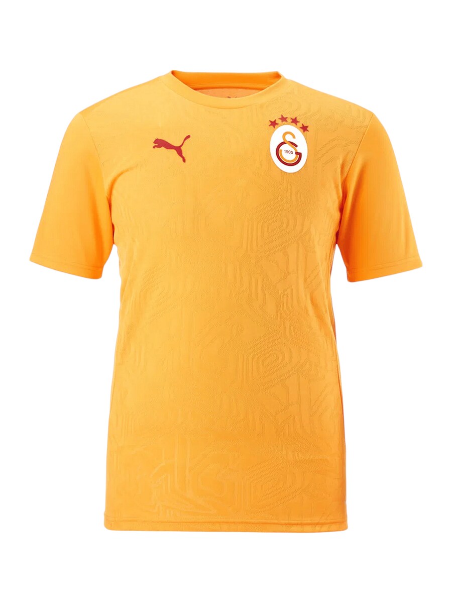 Джерси PUMA Galatasaray Istanbul, Saffron, Бежевый, Джерси PUMA Galatasaray Istanbul, Saffron
Джерси PUMA Galatasaray Istanbul, Saffron, Бежевый, Джерси PUMA Galatasaray Istanbul, Saffron