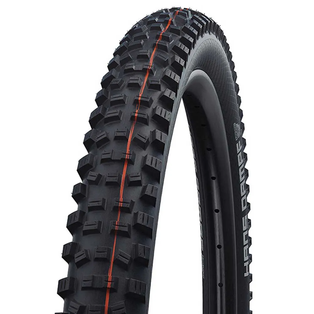 Шина для горного велосипеда Schwalbe Hans Dampf EVO Super Trail Addix Soft Tubeless 29´´ x 2.35, черный
Шина для горного велосипеда Schwalbe Hans Dampf EVO Super Trail Addix Soft Tubeless 29´´ x 2.35, черный