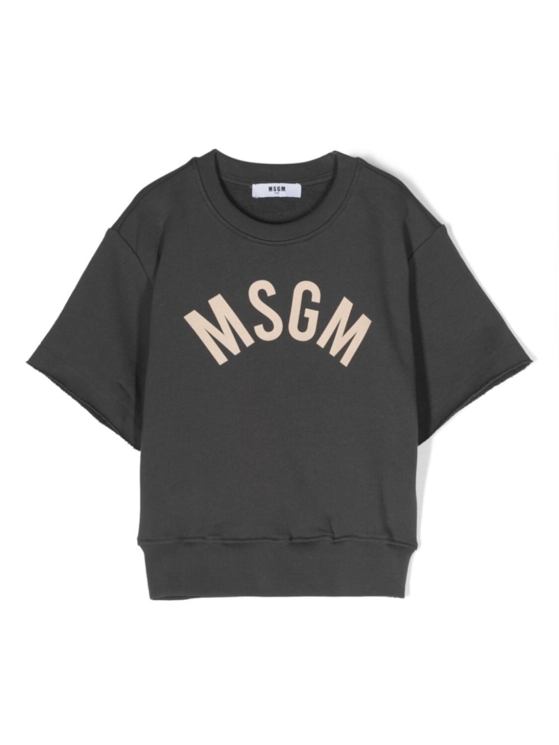 MSGM Kids толстовка с логотипом и короткими рукавами, серый
MSGM Kids толстовка с логотипом и короткими рукавами, серый