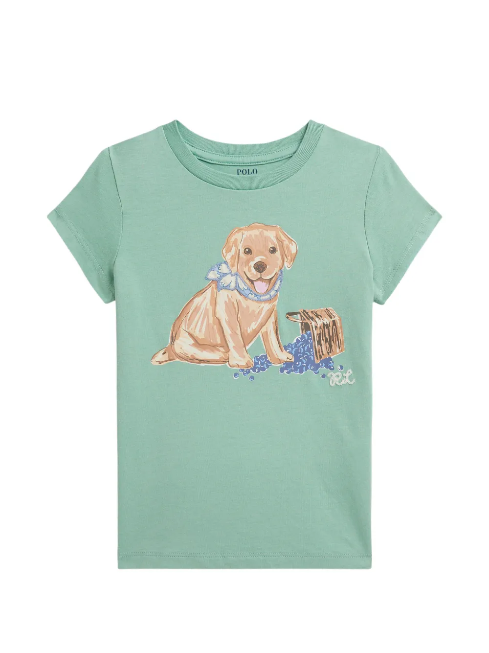 Футболка с принтом Polo Ralph Lauren Kids, зеленый
Футболка с принтом Polo Ralph Lauren Kids, зеленый