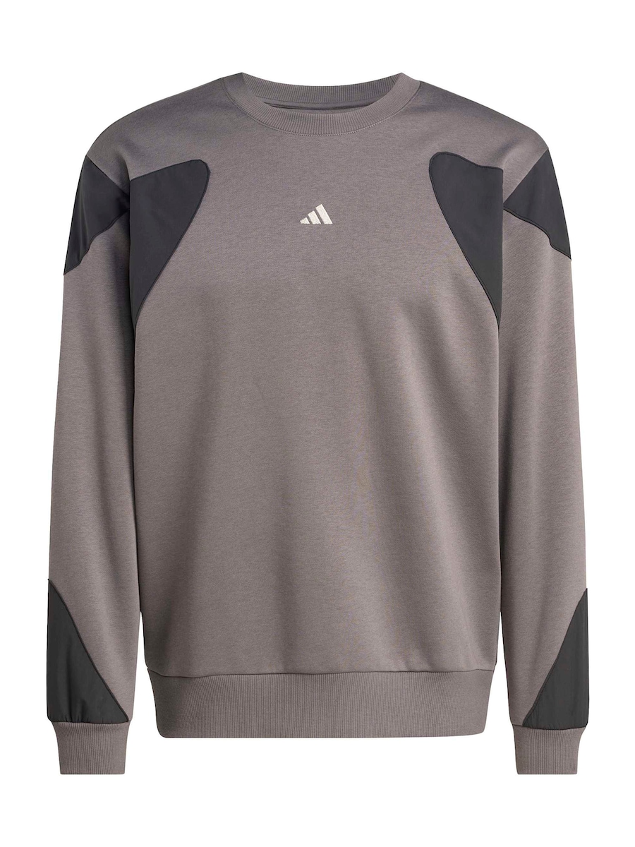 Спортивная толстовка ADIDAS SPORTSWEAR FN, Anthracite/Muddy Colored
Спортивная толстовка ADIDAS SPORTSWEAR FN, Anthracite/Muddy Colored