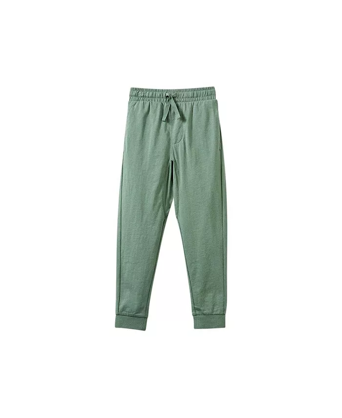 Легкие брюки для мальчиков Matty COTTON ON, зеленый
Легкие брюки для мальчиков Matty COTTON ON, зеленый