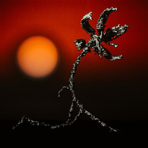 CD диск Nze Nze: Adzi Akal
CD диск Nze Nze: Adzi Akal