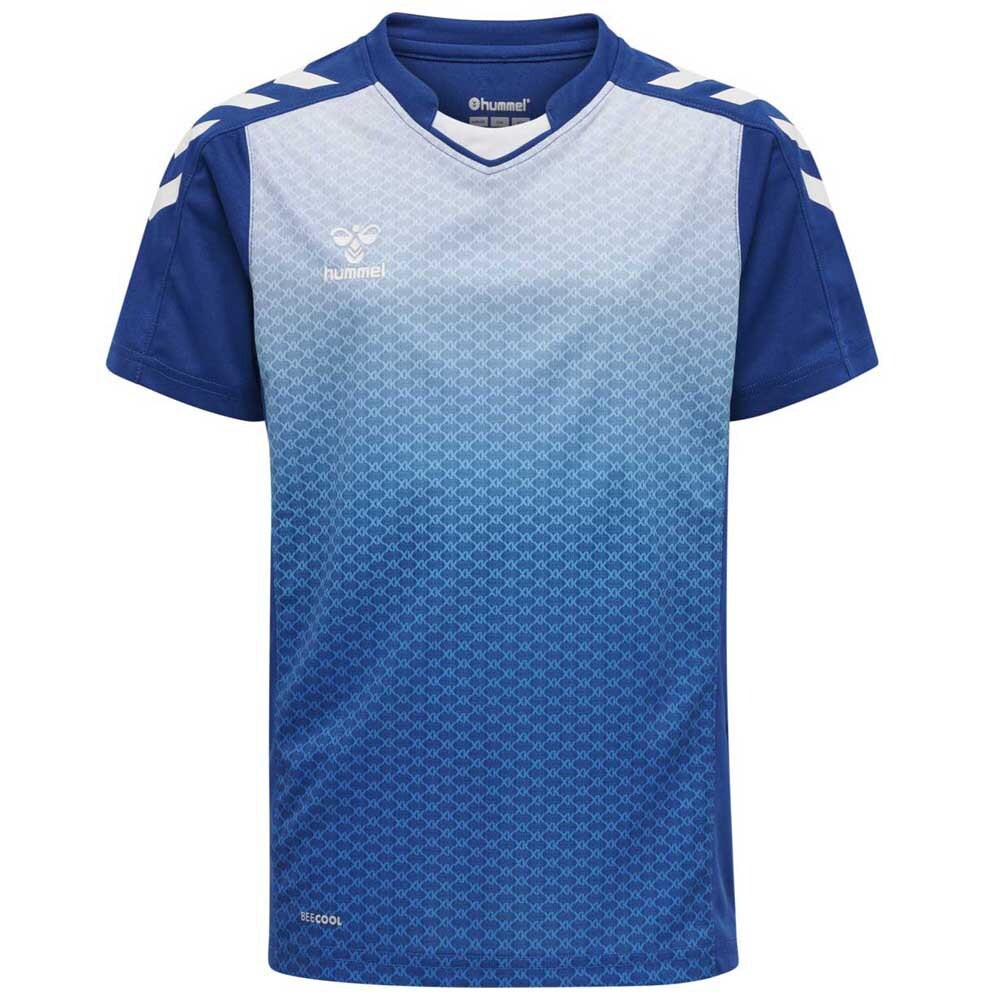 Футболка с коротким рукавом Hummel Core XK Sublimation, синий
Футболка с коротким рукавом Hummel Core XK Sublimation, синий