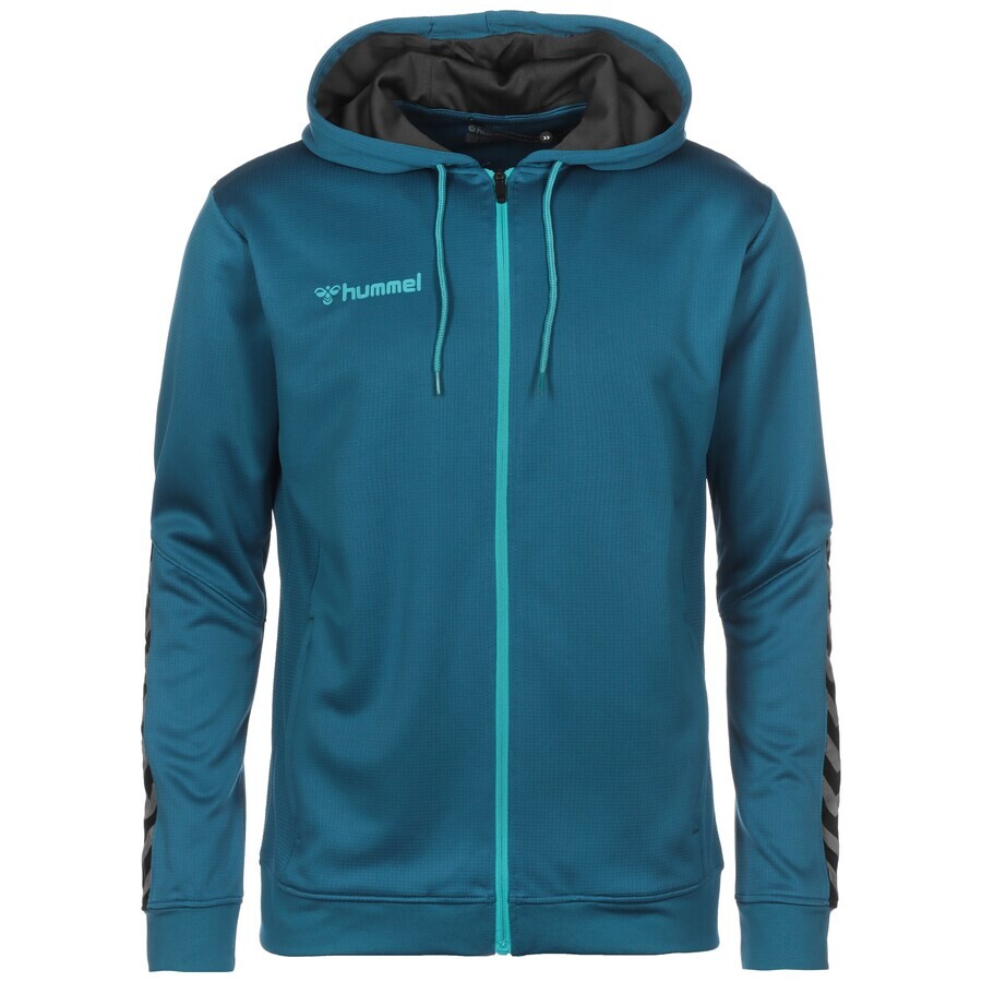Спортивная толстовка Hummel Athletic Zip-Up Hoodie Poly, цвет Turquoise/Light blue 
Спортивная толстовка Hummel Athletic Zip-Up Hoodie Poly, цвет Turquoise/Light blue