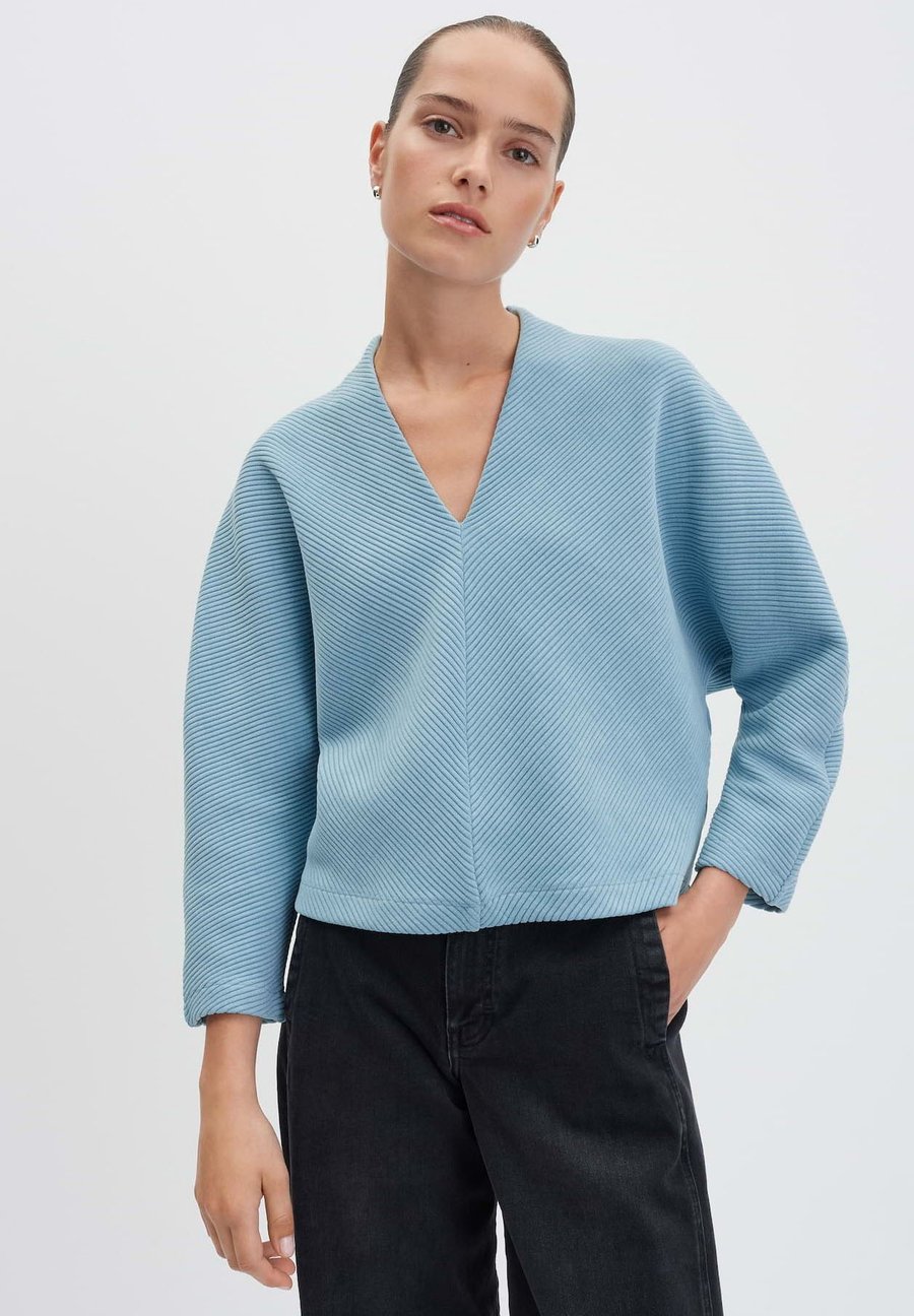 Толстовка someday. RIBBED LOOSE FIT, Arctic Blue/Blue
Толстовка someday. RIBBED LOOSE FIT, Arctic Blue/Blue