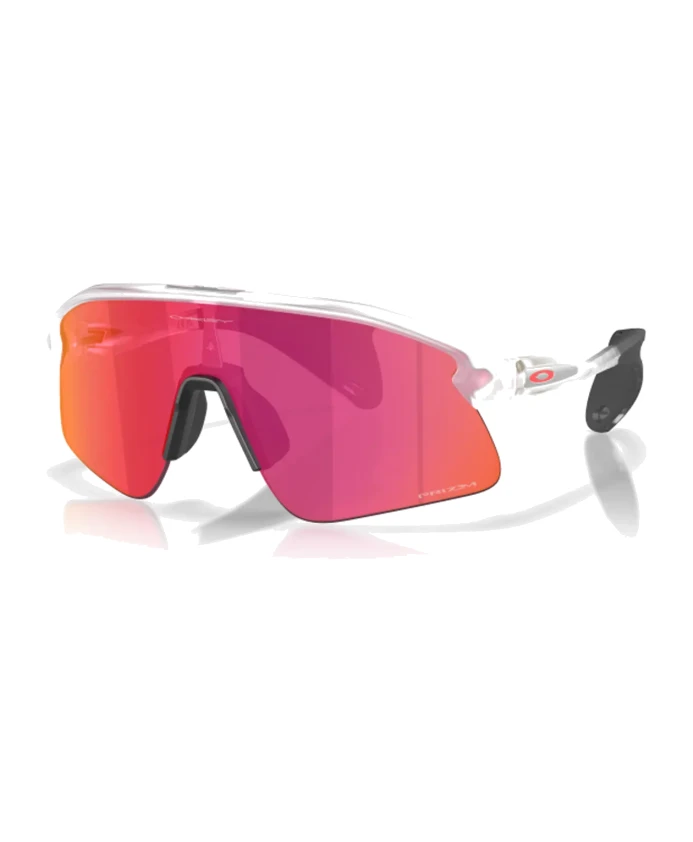 Солнцезащитные очки каскадера Oakley, мультиколор
Солнцезащитные очки каскадера Oakley, мультиколор