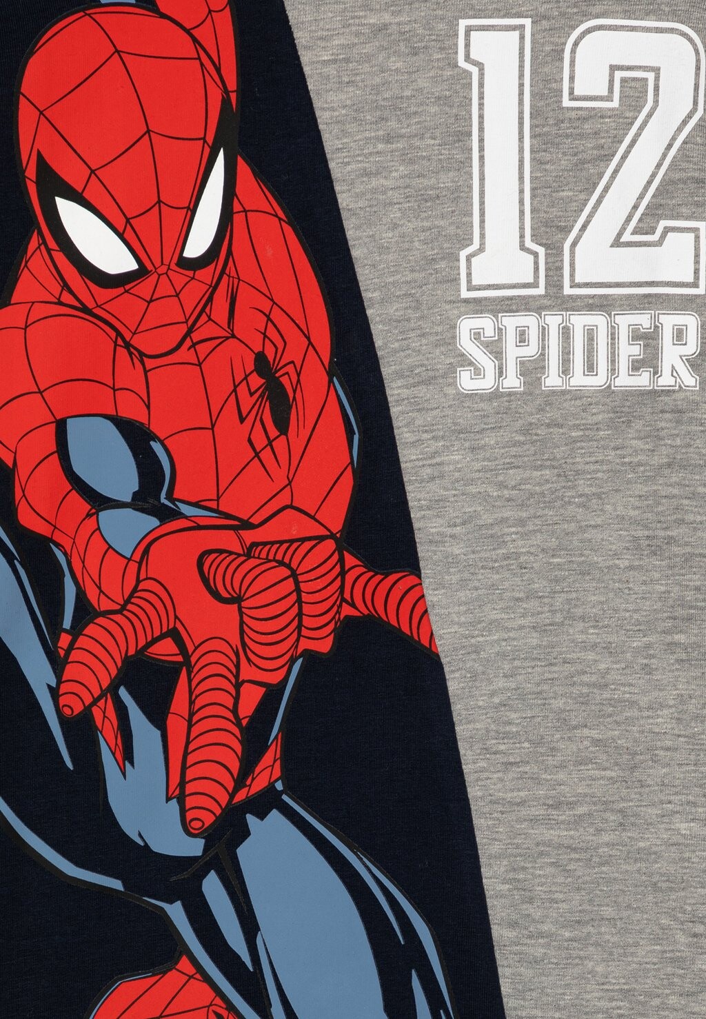 Толстовка NMMJAKIO SPIDERMAN Name it, темно-синий
Толстовка NMMJAKIO SPIDERMAN Name it, темно-синий