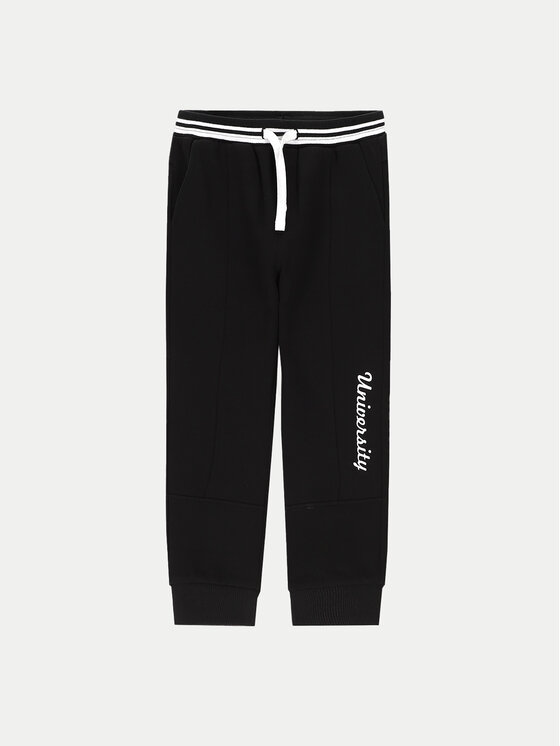 Спортивные брюки regular fit ZC4120201ABK Coccodrillo, черный
Спортивные брюки regular fit ZC4120201ABK Coccodrillo, черный