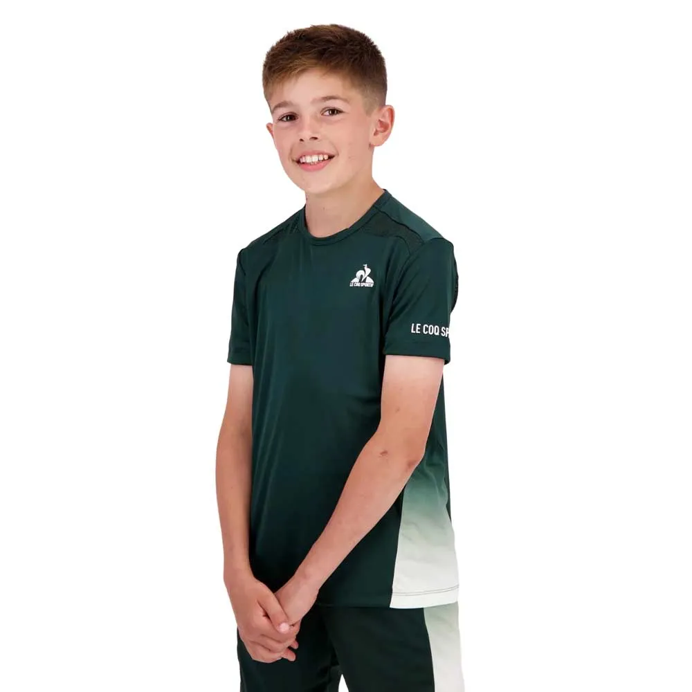 Футболка Le Coq Sportif 2421540 Tennis Pro 24 N°2, зеленый
Футболка Le Coq Sportif 2421540 Tennis Pro 24 N°2, зеленый
