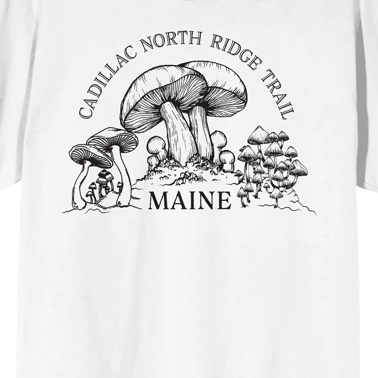 Мужская футболка Elevation 7573 Cadillac с рисунком Licensed Character
Мужская футболка Elevation 7573 Cadillac с рисунком Licensed Character